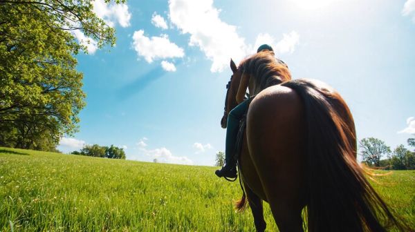 Les meilleures méthodes pour un trajet sûr et confortable en cheval